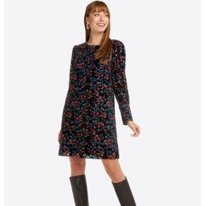Draper James Velvet Shift Dress in Holly